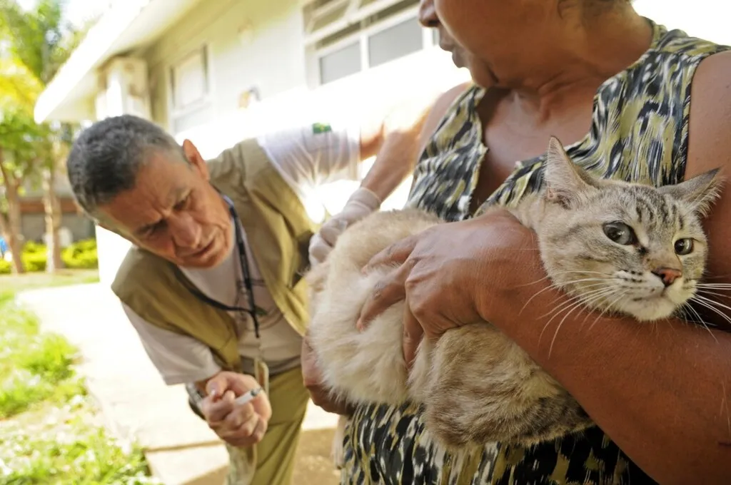 Francisco Morato terá vacinação antirrábica gratuita para cães e gatos nesta quinta-feira (13)